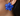 OMID Blue Fondant Flower Metal Stud Earrings