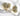 OMID Golden Toned Statement Finger Ring
