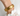 OMID Shiny Brass Statement Bracelet