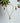 OMID, Gold-Plated Red Stone Necklace and Earrings Set for Women and Girls – Adjustable, Traditional Ethnic Jewellery, Party & Wedding Wear