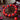 OMID Purple & Orange Beaded Stretch Bracelet on wooden background

