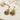 OMID Women Gold-Toned Green Beaded Teardrop Statement Earrings